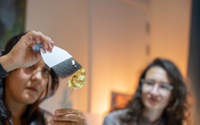 8693-Dorez vos petits objets