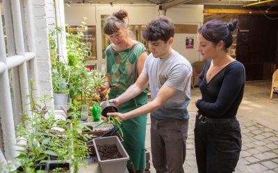 6411-Composez votre jardinière de plantes médicinales