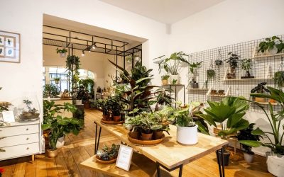 7382-Composez votre grand terrarium