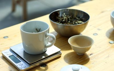 15 616-Initiez-vous à l’art du kombucha, du thé à la fermentation avec Céline et Guillaume